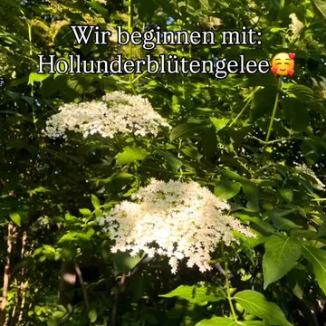 fileadmin/SocialmediaImages/17956404084151778.jpg